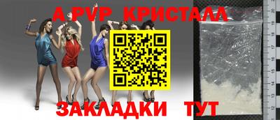 стафф Моздок