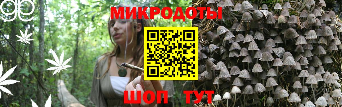 Псилоцибиновые грибы GOLDEN TEACHER  Вход с VPN  Тара 